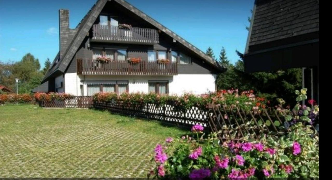 Ferienhaus-Schoenwald Im Herzen Des Schwarzwaldes 1Zimmer Wohnung Mit Terrasse App17 Ngoại thất bức ảnh